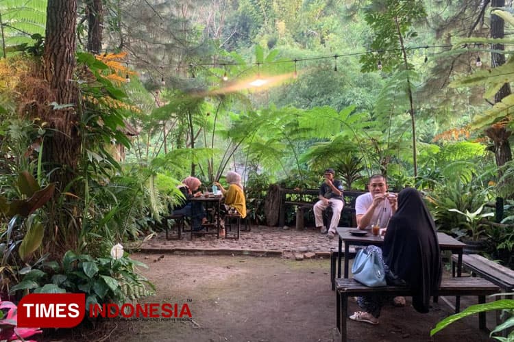 Pinus Café, Tempat Ngopi di Tengah Hutan Pinus 12 Hektare